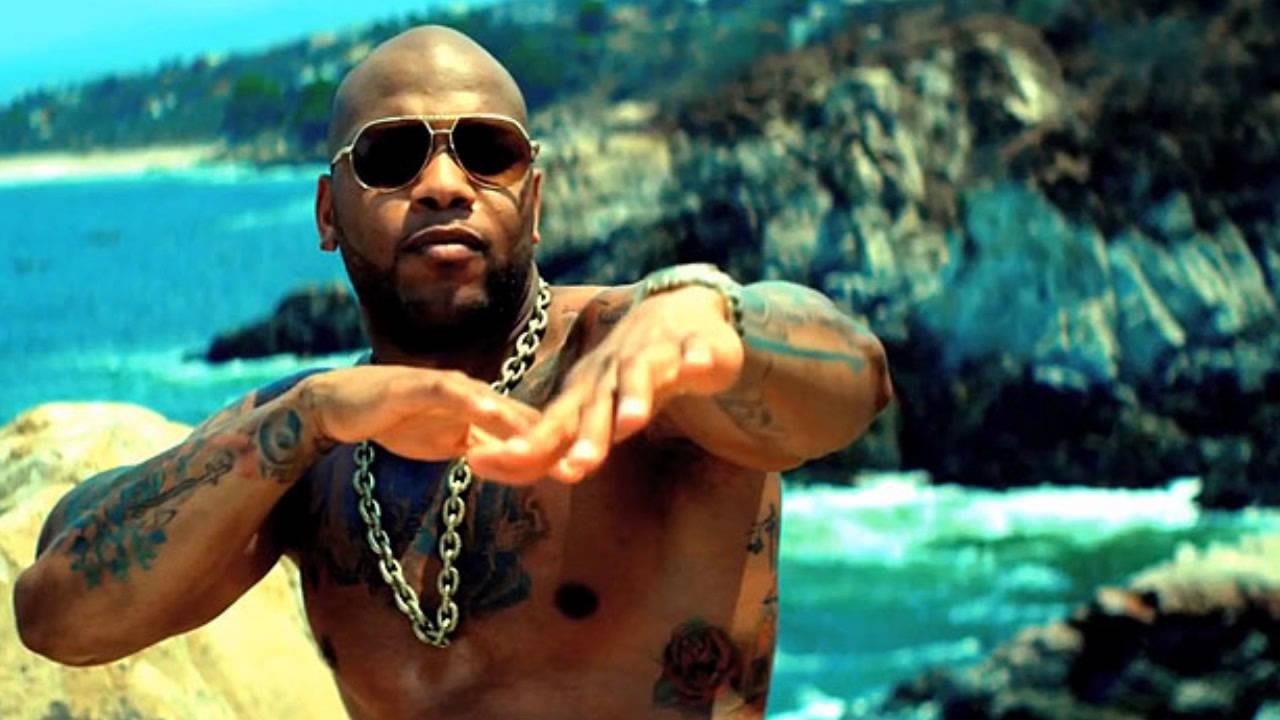 Flo Rida performing at a concert